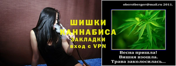 прущие крисы Вяземский