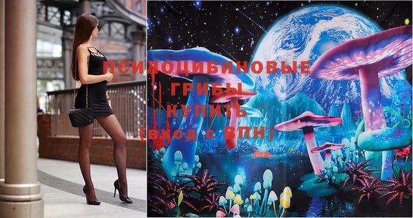 хмурый Вязьма
