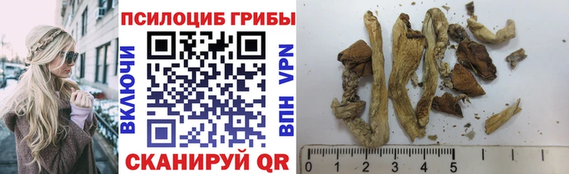 blacksprut tor  Дербент  Псилоцибиновые грибы ЛСД 
